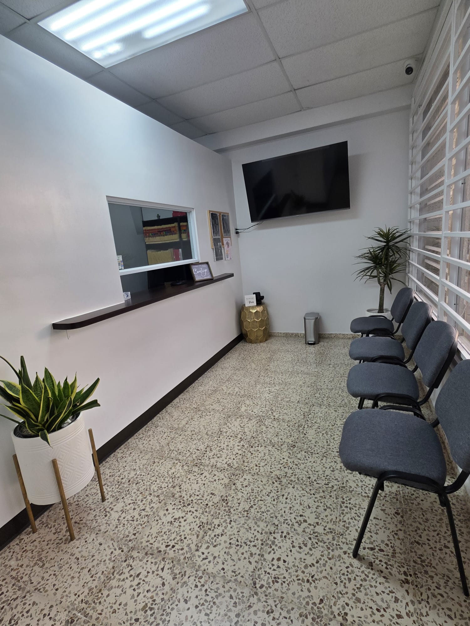 Área de Procedimientos