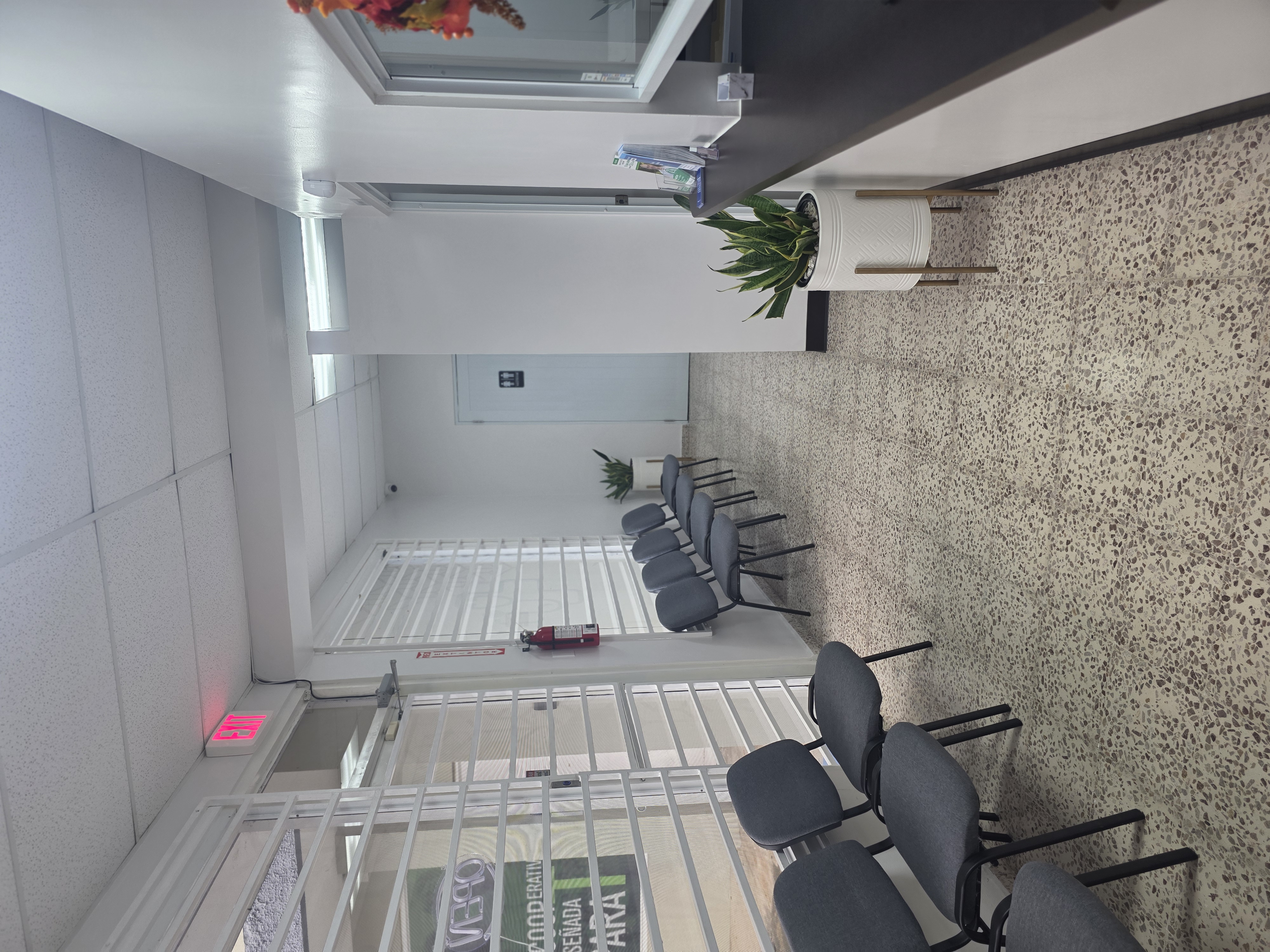 Área de Procedimientos