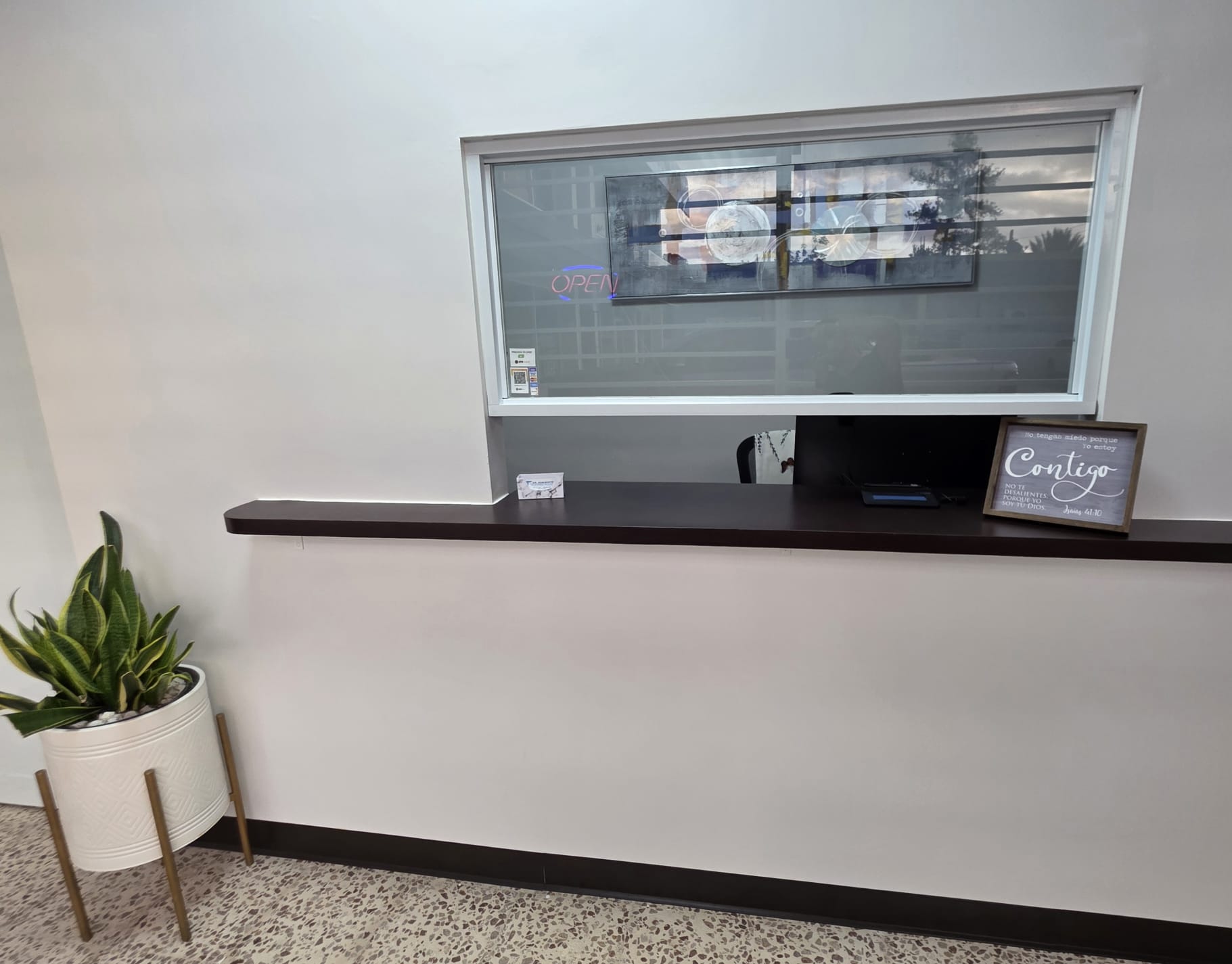 Área de Procedimientos